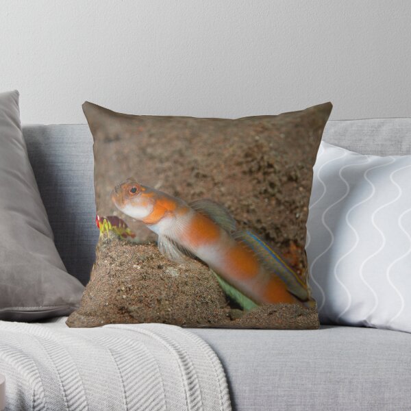 Shimp goby with shrimp Throw Pillow