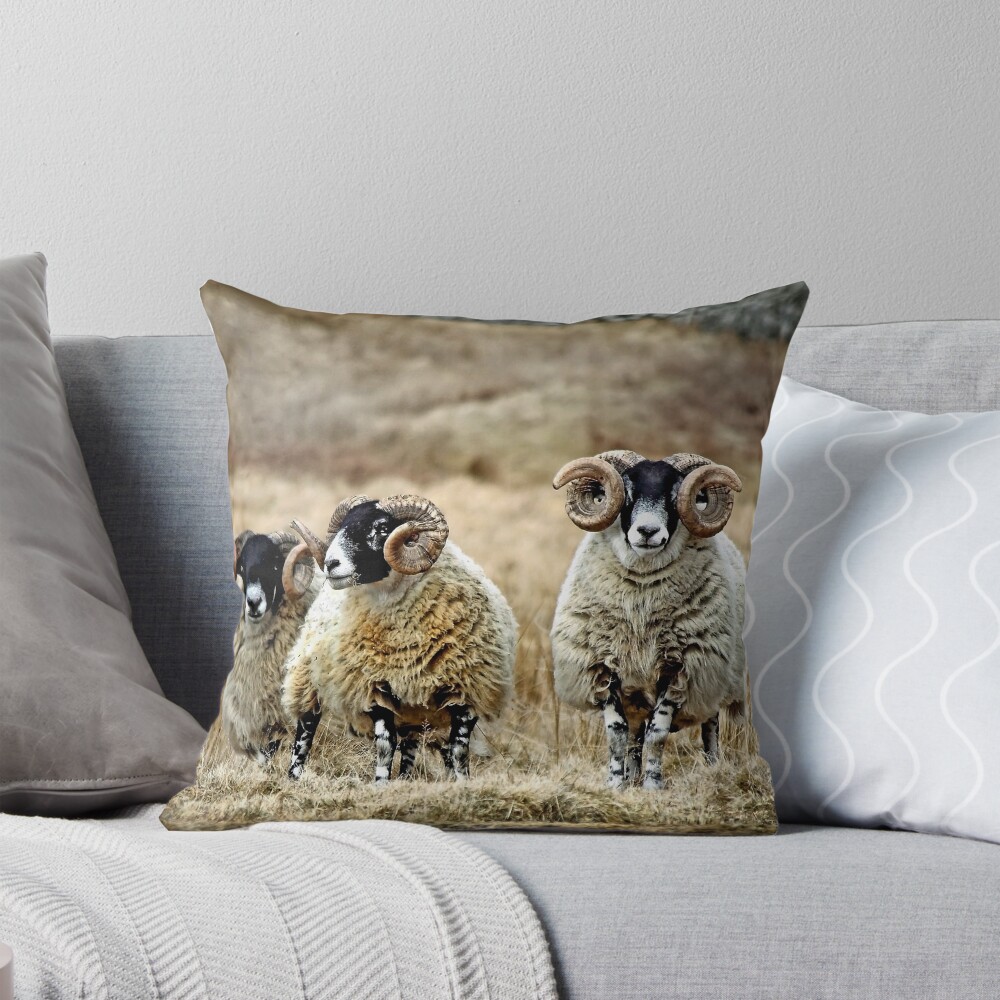 Item preview, Throw Pillow designed and sold by Coigach.