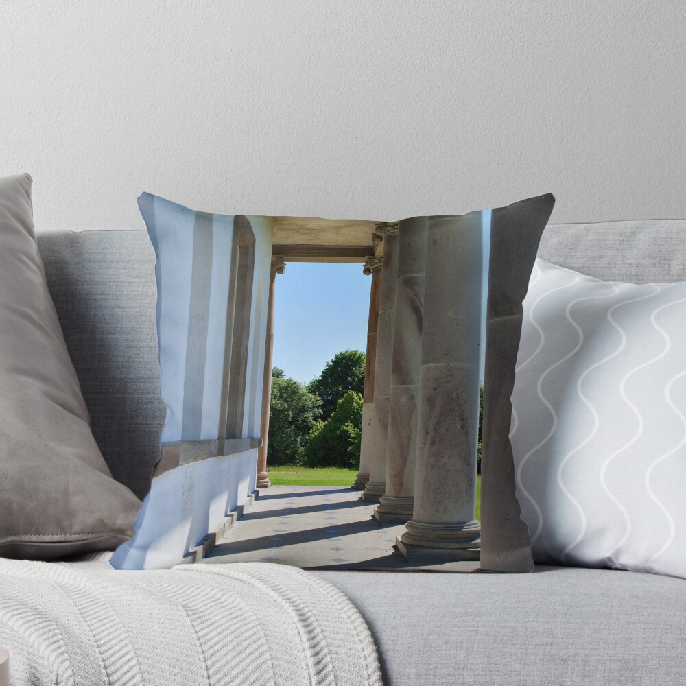 Item preview, Throw Pillow designed and sold by condorc3.