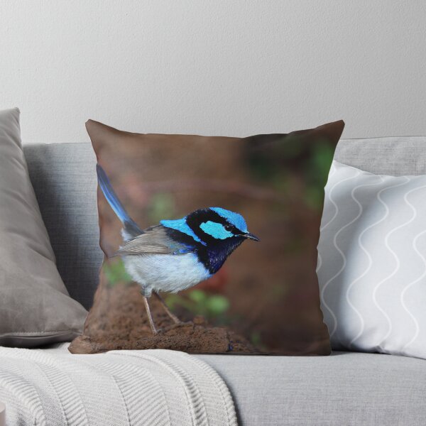 Item preview, Superb Fairy Wren designed and sold by Donovan Wilson.