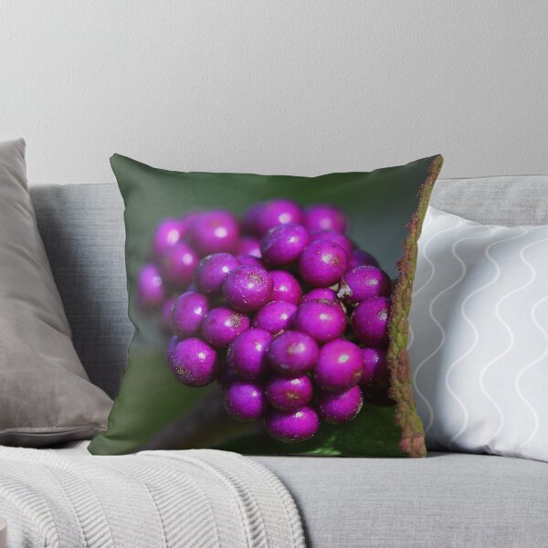 Item preview, Callicarpa pedunculata  designed and sold by andrachne.