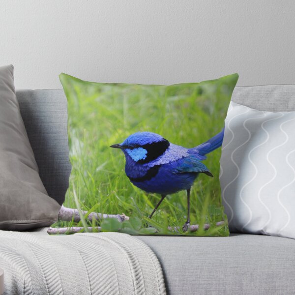 Splendid Fairywren Throw Pillow
