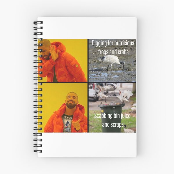 Item preview, Bin Chicken Meme designed and sold by LukeRosenberg.