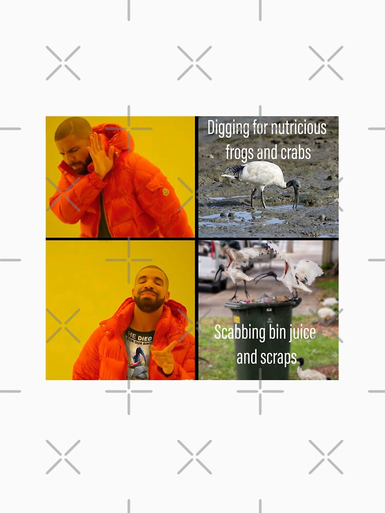 "Bin Chicken Meme" Tshirt for Sale by LukeRosenberg Redbubble