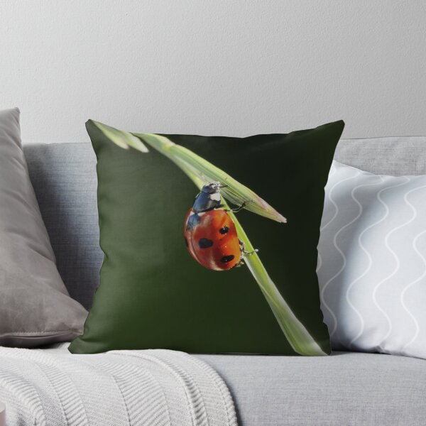 Item preview, Ladybird designed and sold by Pensans.