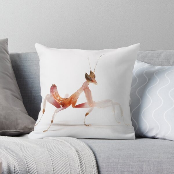 after they shed they look totaly difrent.2nd instar - orchid mantis Throw Pillow