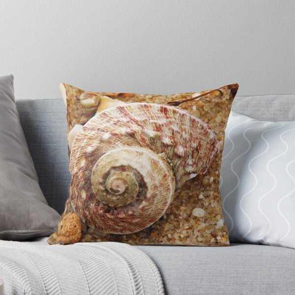 Item preview, Seashells II designed and sold by GcDePiazzi.