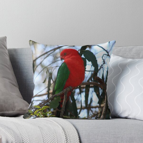 Item preview, Male King Parrot designed and sold by Vikki Shedden Photography.
