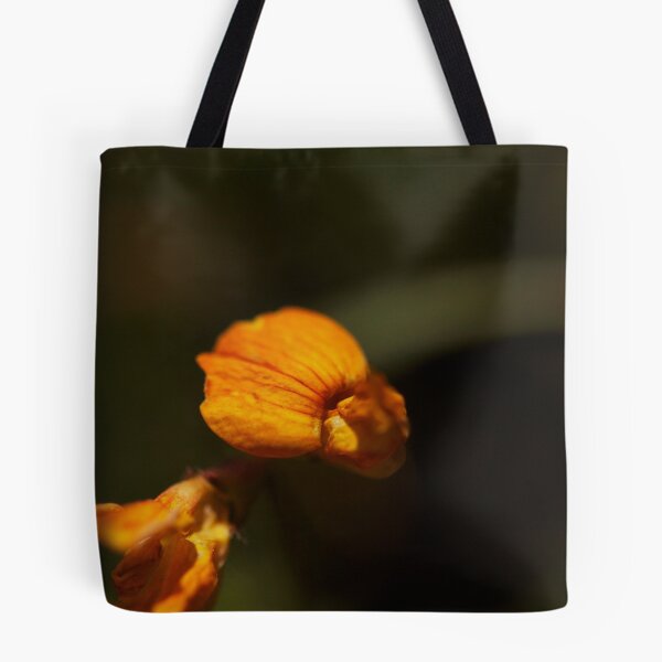 Item preview.