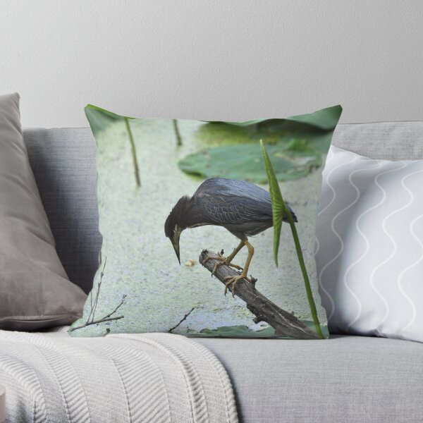 Looking for Dinner Throw Pillow