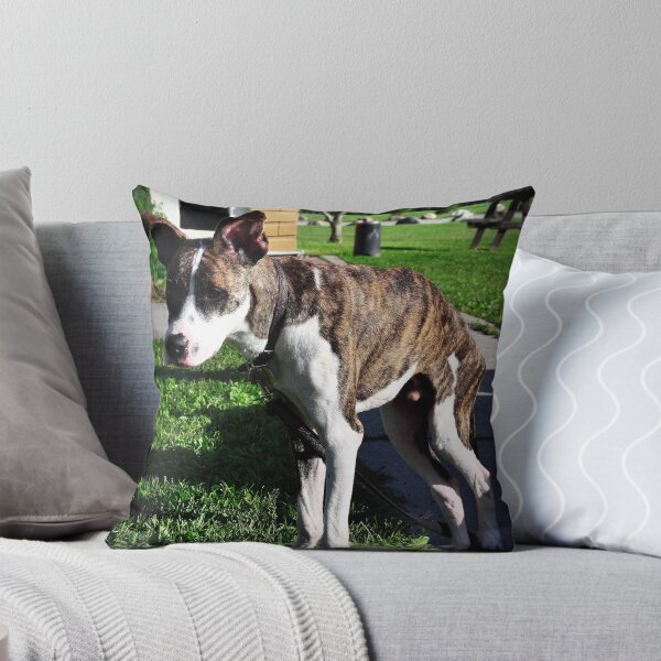 Item preview, Broken...but not broken designed and sold by SamTheCowdog.