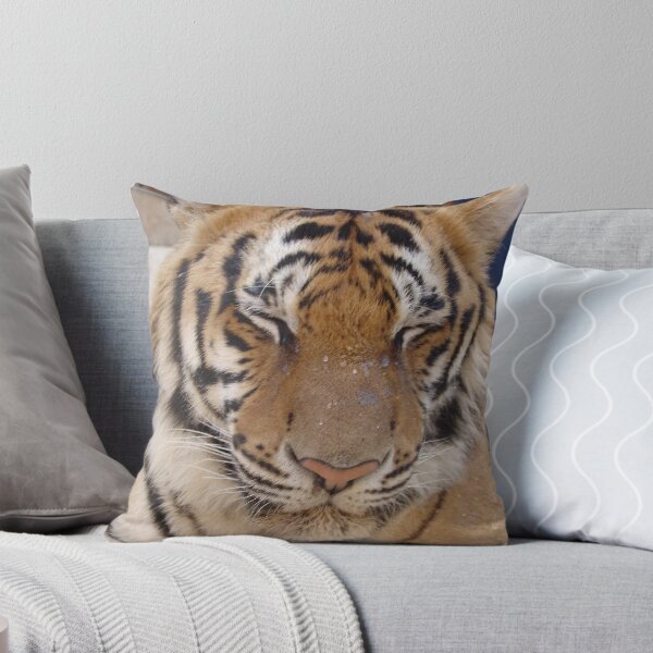 Item preview, Tiger sleeping designed and sold by Feesbay.
