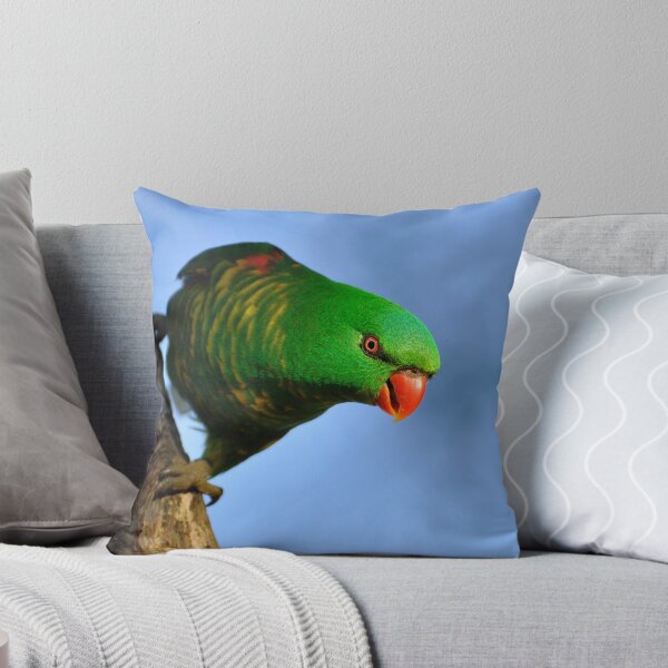 Artikelvorschau, Scaly Breasted Lorikeet - Australian "Greenie" entworfen und verkauft von Barbara Burkhardt.
