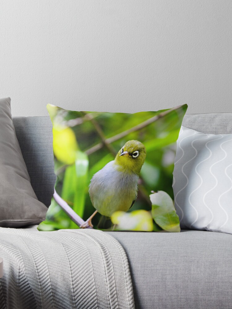 Thumbnail 1 of 4, Pillow, Silvereye designed and sold by mistered.