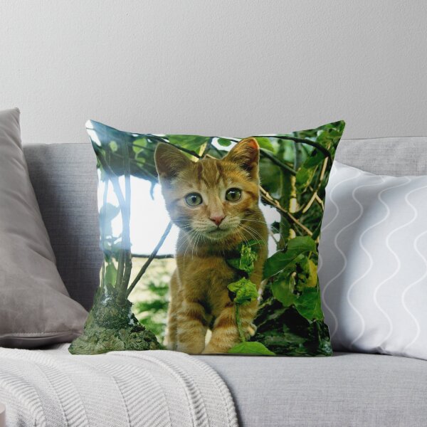 Item preview, kitten designed and sold by jonnygreentree.