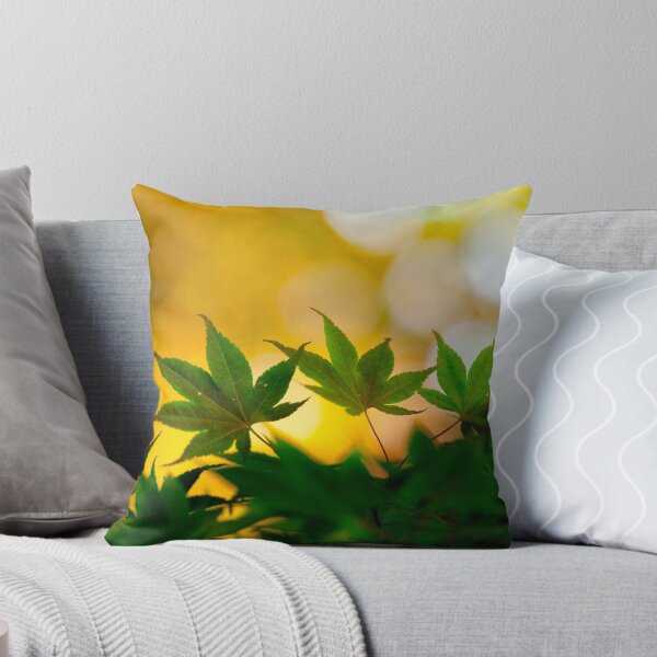 Item preview, Dwarf Maple, Summer Evening designed and sold by John Griggs.