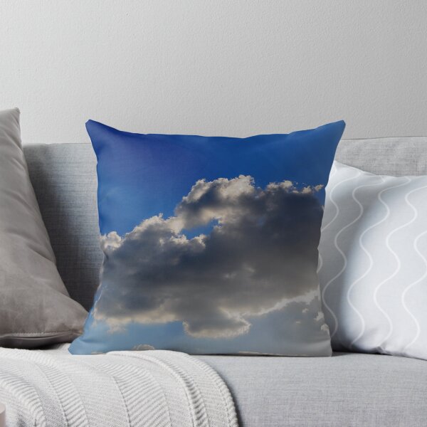 Item preview, Rays designed and sold by bwaters.
