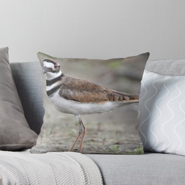 Item preview, They Don't Really Do They? / Killdeer designed and sold by Gary Fairhead.