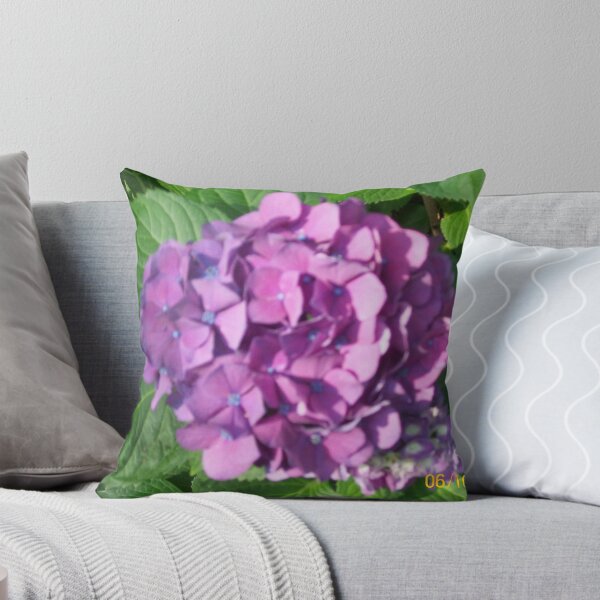 Item preview, my hydrangreas peeping through designed and sold by photofun29.