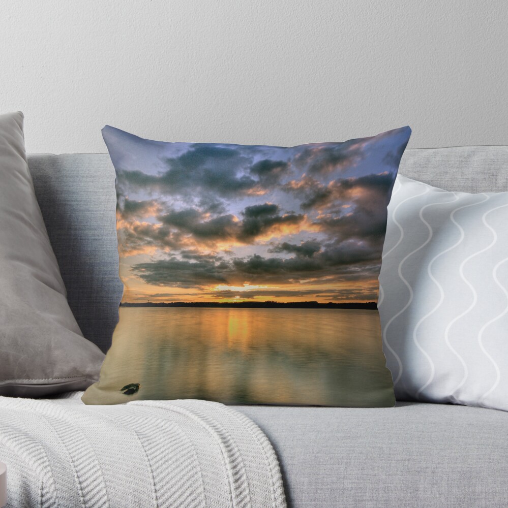 Shine Throw Pillow