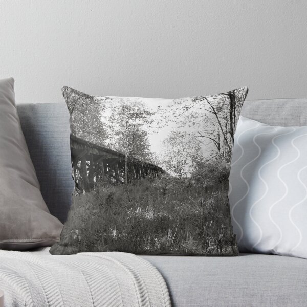 Item preview, Bridge to Nowhere designed and sold by SparrowPhoto.