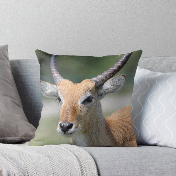 Item preview, watching on - port lympne zoo designed and sold by ClaireTiltman.