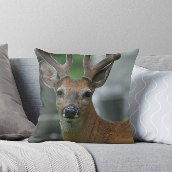 Item preview, say cheese! pleeease  designed and sold by creativegenious.