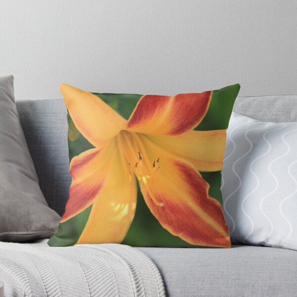 Item preview, 4th of July Day Lily designed and sold by Laddie Halupa.