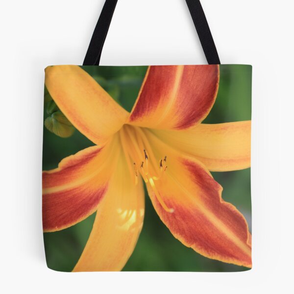 Item preview, 4th of July Day Lily designed and sold by Laddie Halupa.