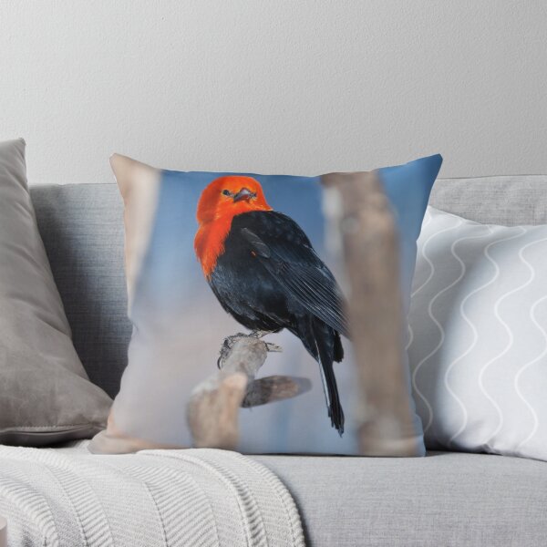 Item preview, Scarlet-Headed Blackbird designed and sold by Tobi Makinde.