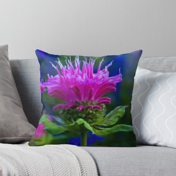 Item preview, Bee Balm designed and sold by kittyrodehorst.