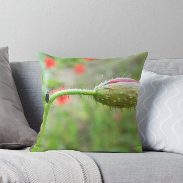 Item preview, Nothing is insurmountable designed and sold by Alison Finch.