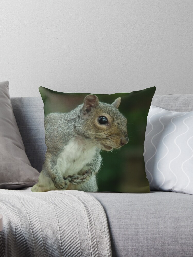 Throw Pillow, Squirrel 3 designed and sold by Peter Barrett