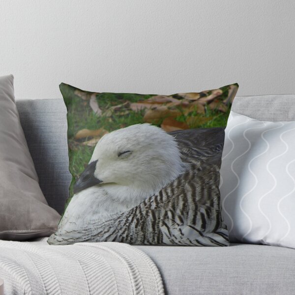 Item preview, Afternoon Siesta... designed and sold by ScarletSass.
