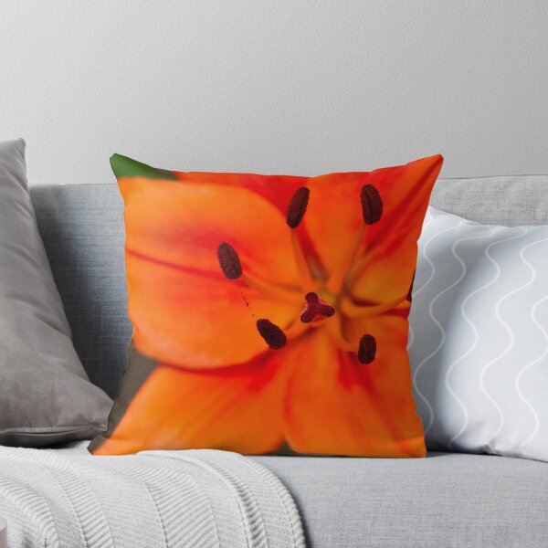 Item preview, Orange Asiatic Lily 1 designed and sold by Edward Myers.
