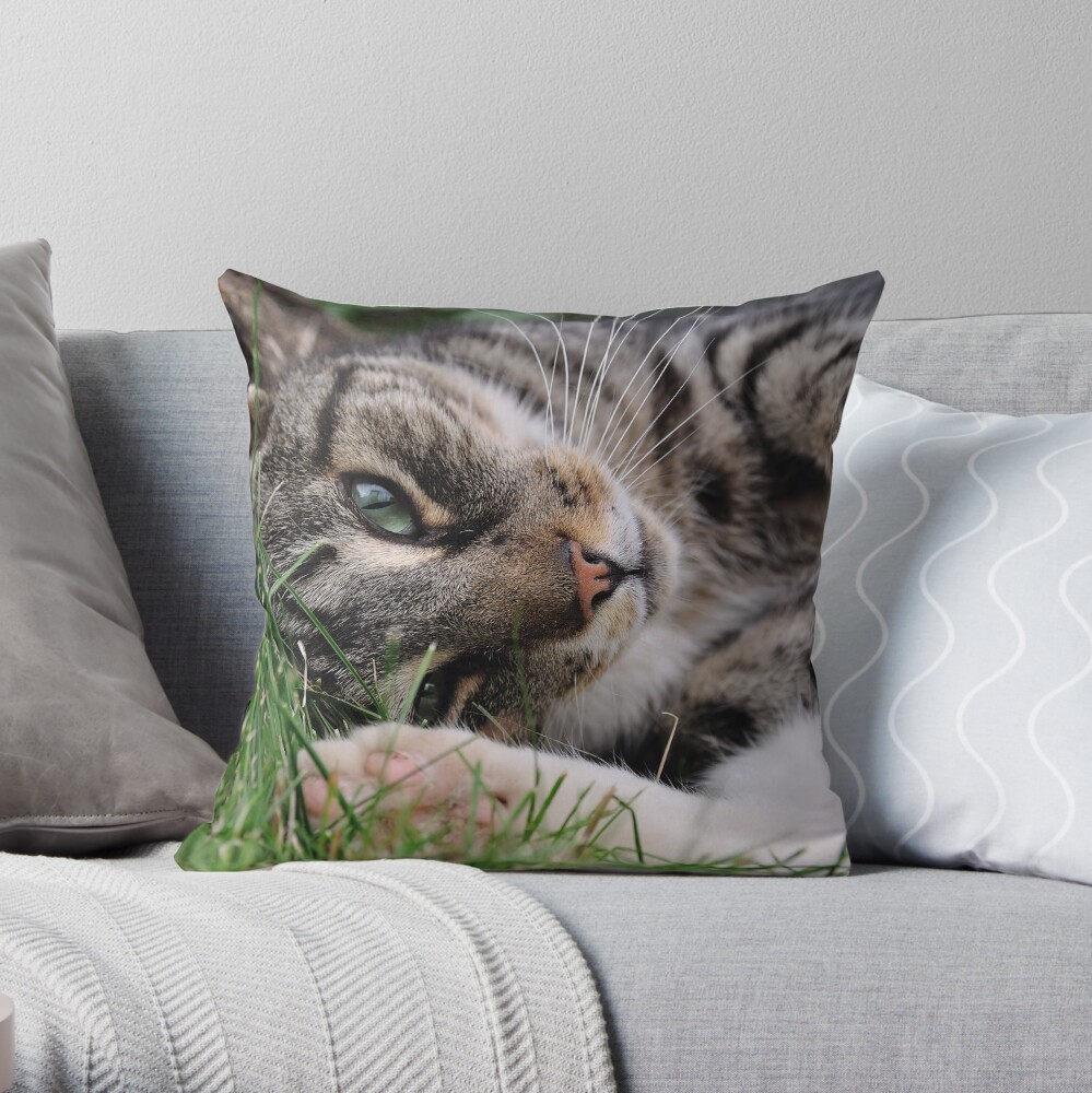 Item preview, Throw Pillow designed and sold by pauleden.