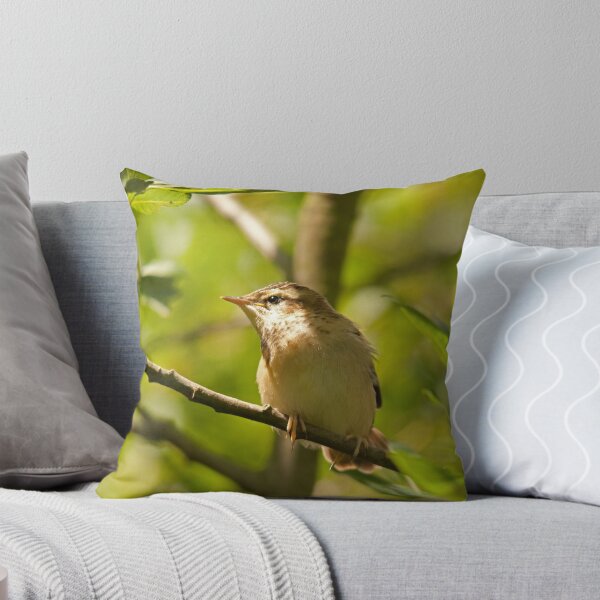 Aperçu de l'œuvre Sedge Warbler créée et vendue par Jon Lees.