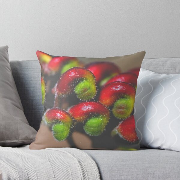 Item preview, Grevillea fireworks designed and sold by andrachne.