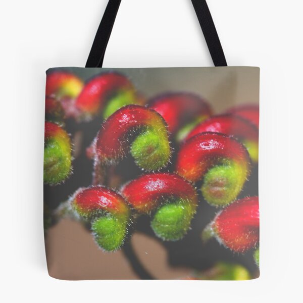 Item preview, Grevillea fireworks designed and sold by andrachne.
