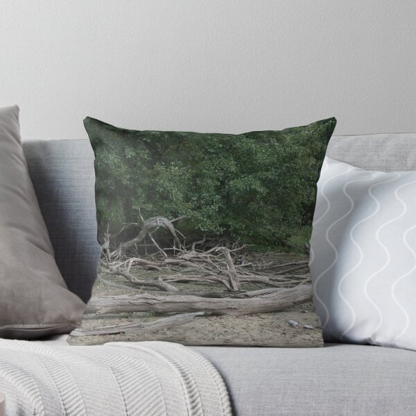 Item preview, Dead trees on the sand designed and sold by ojburritt.