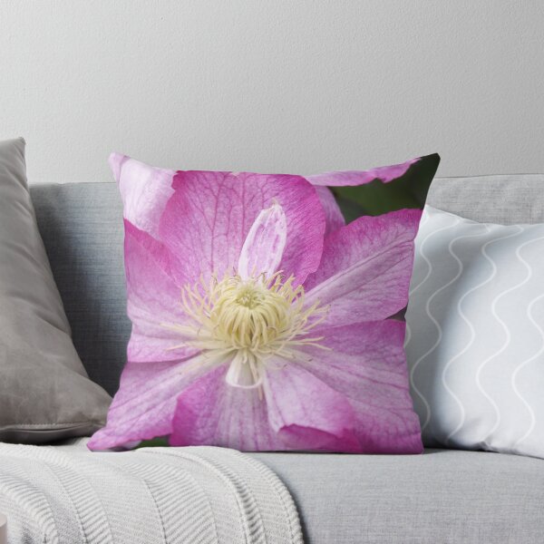 Item preview, Clematis. designed and sold by Brunoboy.