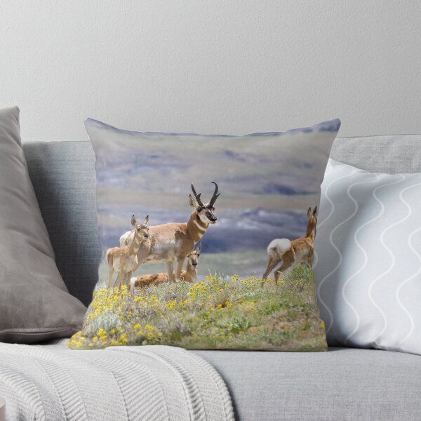 Aperçu de l'œuvre Famille Pronghorn créée et vendue par Kim Barton.