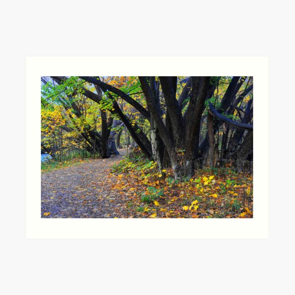 Autumn along the Arrow Art Print