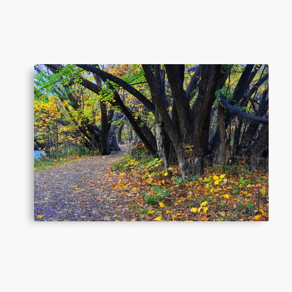 Autumn along the Arrow Canvas Print