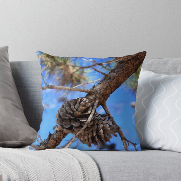 Item preview, Pine cones designed and sold by scruffycat.