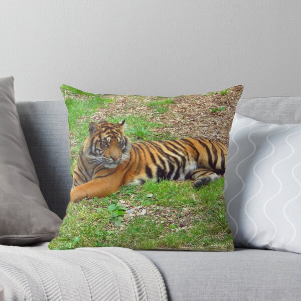 Item preview, Easy Tiger designed and sold by Martina Fagan.
