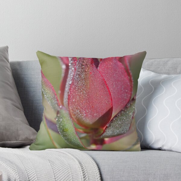 Item preview, Early morning Protea designed and sold by Etwin.