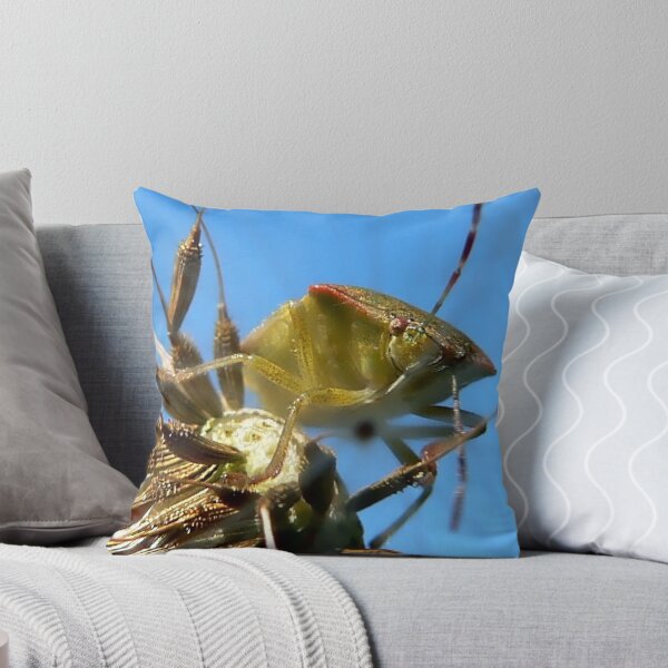 Item preview, Leaf Hopper: Hemiptera designed and sold by paintingsheep.