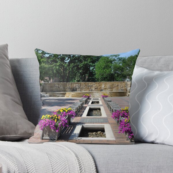 Item preview, Alumni Plaza designed and sold by Corkle.