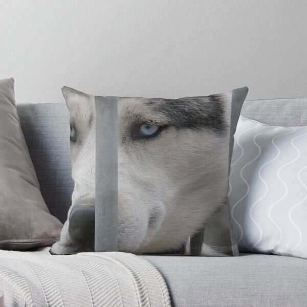Item preview, Steely Stare designed and sold by Bulalio.